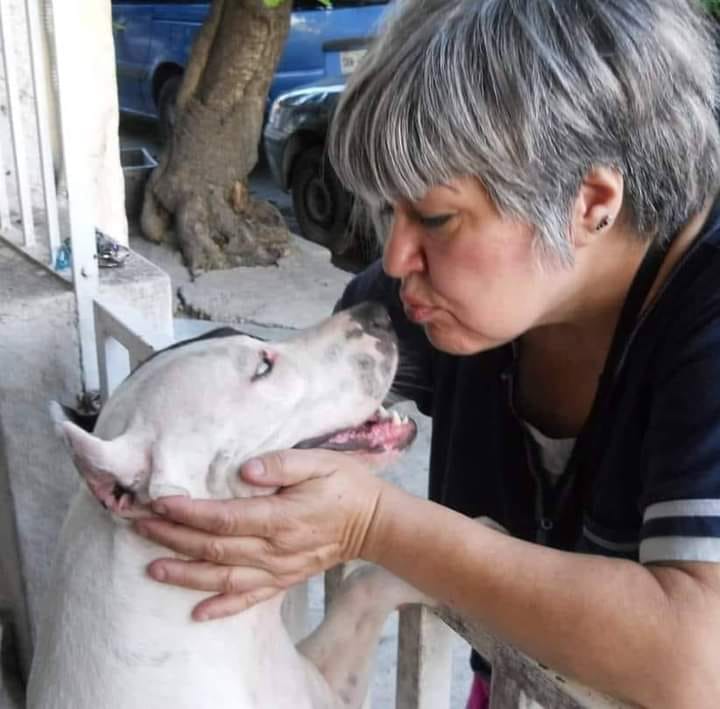 LOS MILAGROS DE LA SENSIBILIDAD O LA HISTORIA DE UNA RESCATISTA DE ANIMALES